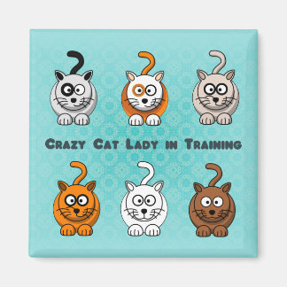 Aimant Crazy Chat Lady dans l'aimant d'entraînement