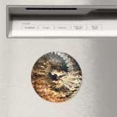 Aimant Crazy Storm...... (In Situ (Lave-vaisselle))