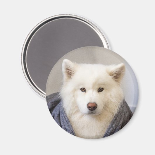 Aimant CRB - Ours douillet (Recto/Verso)