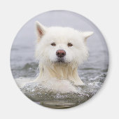 Aimant CRB - Ours polaire (Devant)