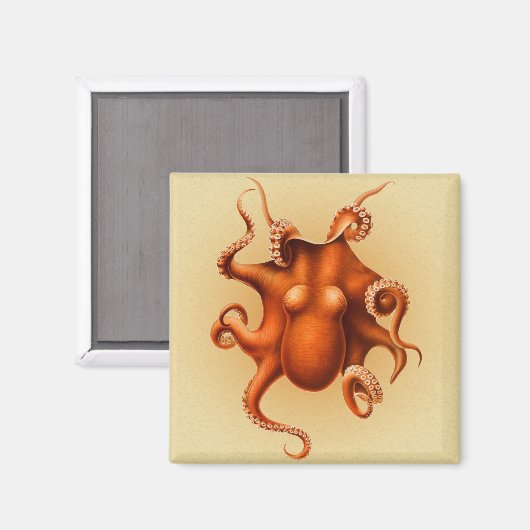 Aimant Créature du monstre de la mer d'Octopus Cephalapod (Recto/Verso)
