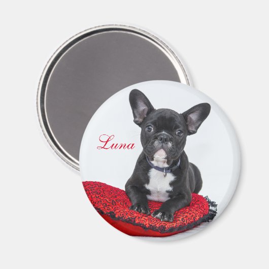 Aimant Créez votre propre photo pour animaux de compagnie (Recto/Verso)