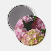 Aimant Crème rose Hydrangeas jaune rose vert floral (Recto/Verso)