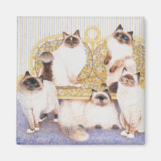 Aimant Crèmes au chocolat (Devant)