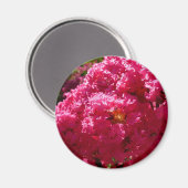 Aimant Crepe Myrtle Tree Magenta Floral (Recto/Verso)