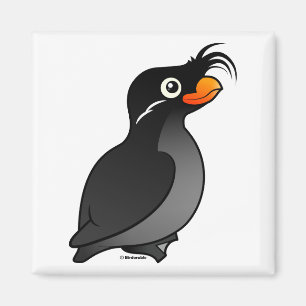 Aimant Crested Auklet