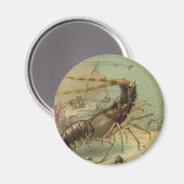 Aimant Crevettes, Vie sous-marine, Animaux de l'océan vin (Recto/Verso)