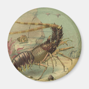 Aimant Crevettes, Vie sous-marine, Animaux marins vintage