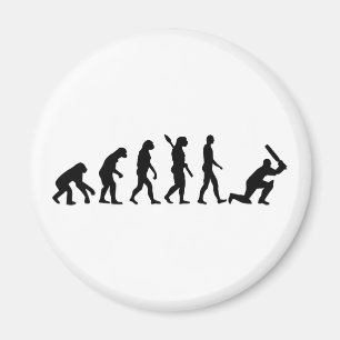Aimant Cricket d'évolution