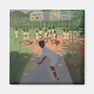 Aimant Cricket Sri Lanka