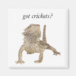 Aimant Crickets obtenus