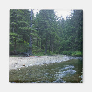 Aimant Crique de Cummins au parc national Neptune, OU