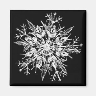 Aimant Cristal de snowflake