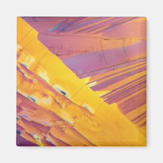 Aimant Cristaux acides oxaliques