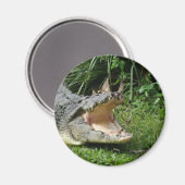 Aimant Crocodile (Recto/Verso)