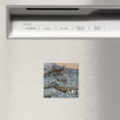Aimant Crocodile (In Situ (Lave-vaisselle))