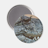 Aimant Crocodile (Recto/Verso)