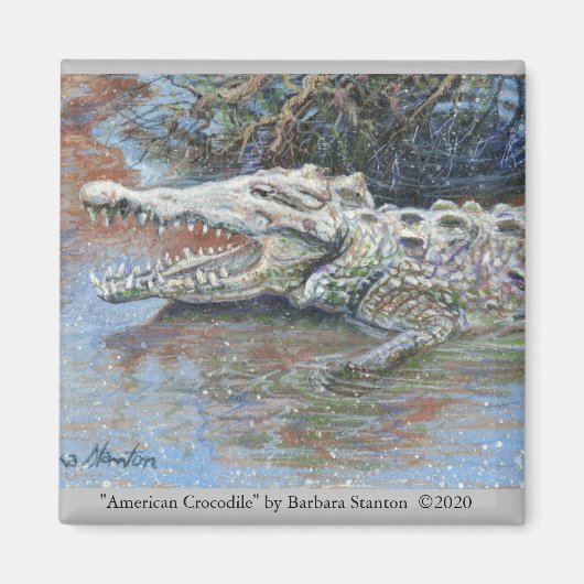 Aimant "crocodile américain" (Devant)