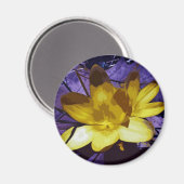Aimant Crocus jaune numérique (Recto/Verso)