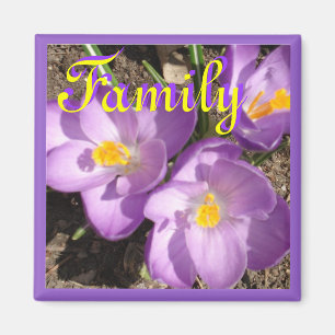 Aimant crocusfamilymagnet