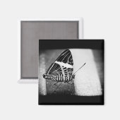 Aimant croisement papillon (Recto/Verso)