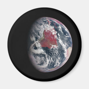 Aimant Croissance plante Sur La Planète Terre.