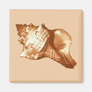 Aimant Croquis en coquille de cône - brun, blanc et bronz