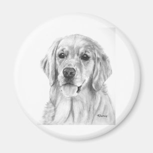 Aimant Croquis Golden Retriever
