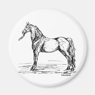 Aimant Croquis simple Morgan Horse