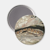 Aimant Crotale dans le parc national de Shenandoah (Recto/Verso)