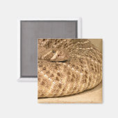 Aimant crotale de diamant occidental (Recto/Verso)