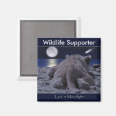 Aimant CUB LION CUB Collection (Recto/Verso)