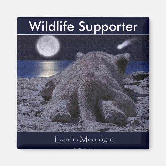 Aimant CUB LION CUB Collection (Devant)