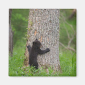 Aimant Cube d'ours noir | Great Smoky Mountains (Devant)