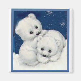 Aimant Cubes Ours Polaires