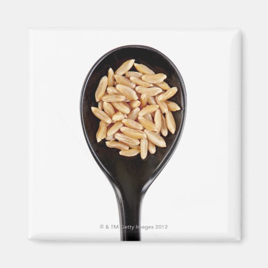 Aimant cuillère de grains de blé de Kamut (Devant)