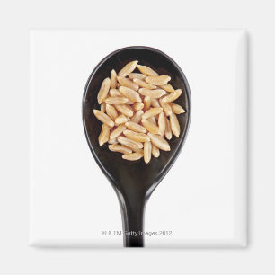 Aimant cuillère des grains de blé de Kamut