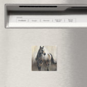 Aimant Cuivre et nickel (In Situ (Lave-vaisselle))