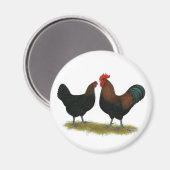 Aimant Cuivre noir des Marans (Recto/Verso)