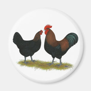 Aimant Cuivre noir des Marans