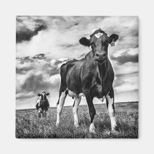 Aimant Culture de attente de BW