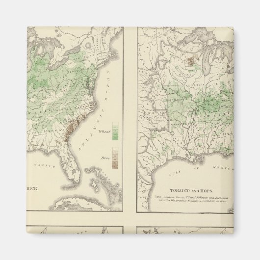 Aimant Cultures, statistique US Lithographe (Devant)
