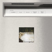 Aimant Cumberland Falls, KY (In Situ (Lave-vaisselle))