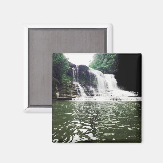 Aimant cummins (Recto/Verso)