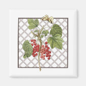 AIMANT CURANTS ROUGES (Devant)