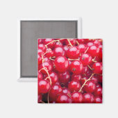 Aimant Curateur rouge (Recto/Verso)