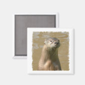 Aimant Curieux Carré de Otter (Recto/Verso)