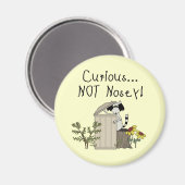 Aimant Curieux Raccoon (Recto/Verso)