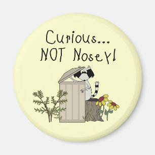 Aimant Curieux Raccoon