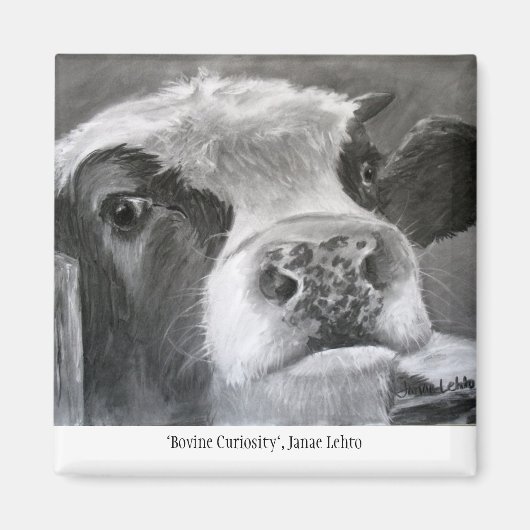 Aimant Curiosité bovine (Devant)